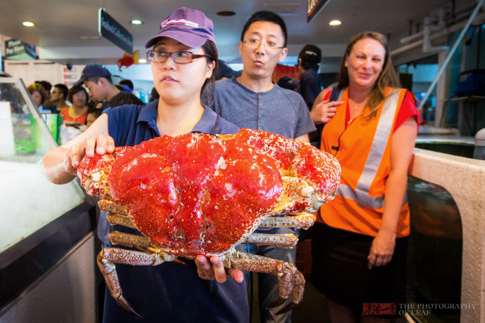 50ee5f0d8a3cd95b0b9a5bebbbc144de.jpeg 50ee5f0d8a3cd95b0b9a5bebbbc144de.jpeg