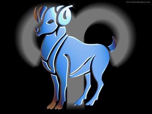 s1081415739[1].jpg