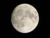 DSC00236.jpg