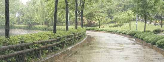 v51I_rain.gif