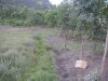 P1010048.jpg