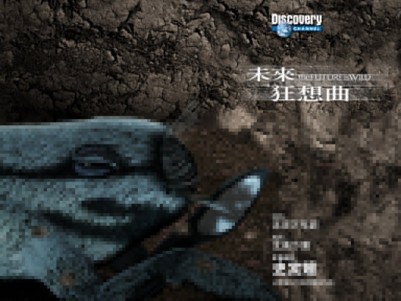 2004330161112.jpg