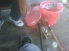 IMG01519-20111215-1135.jpg