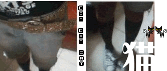 282991898.gif