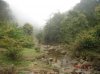 DSC01819.JPG
