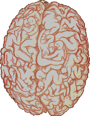 200391117135964306.gif