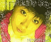 pppp.GIF