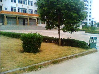 IMG0190A.jpg