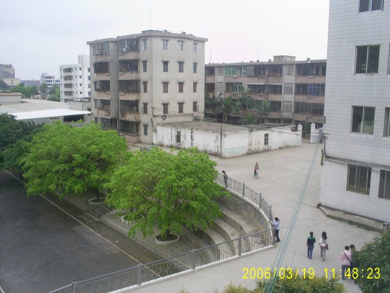S5022051.JPG