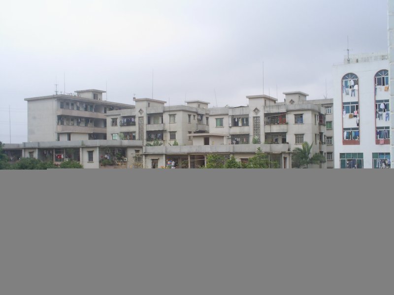 S5022056.JPG