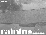 DSC00755.gif