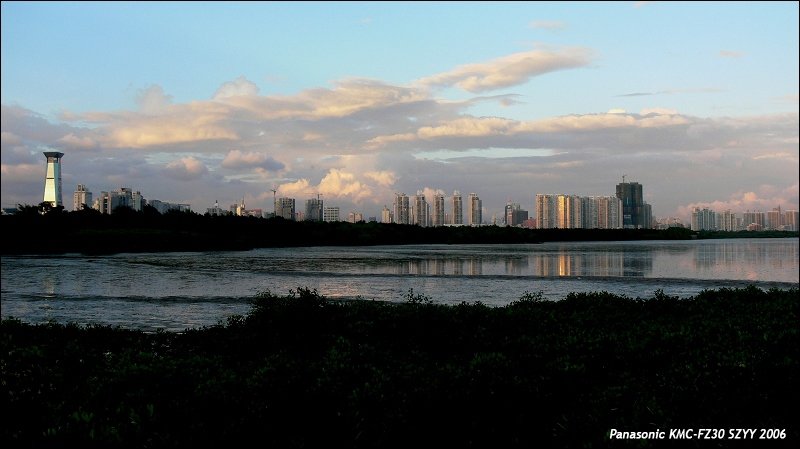 P1000090.JPG