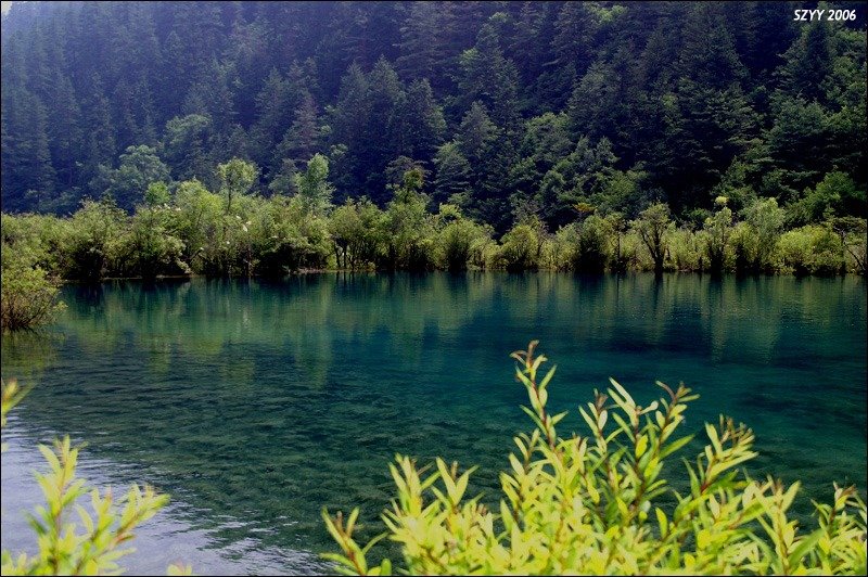 PICT0515.JPG