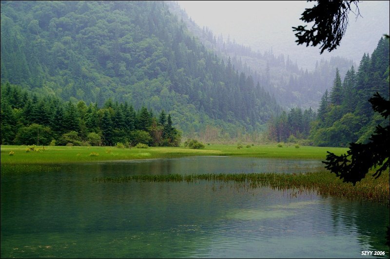PICT0572.JPG
